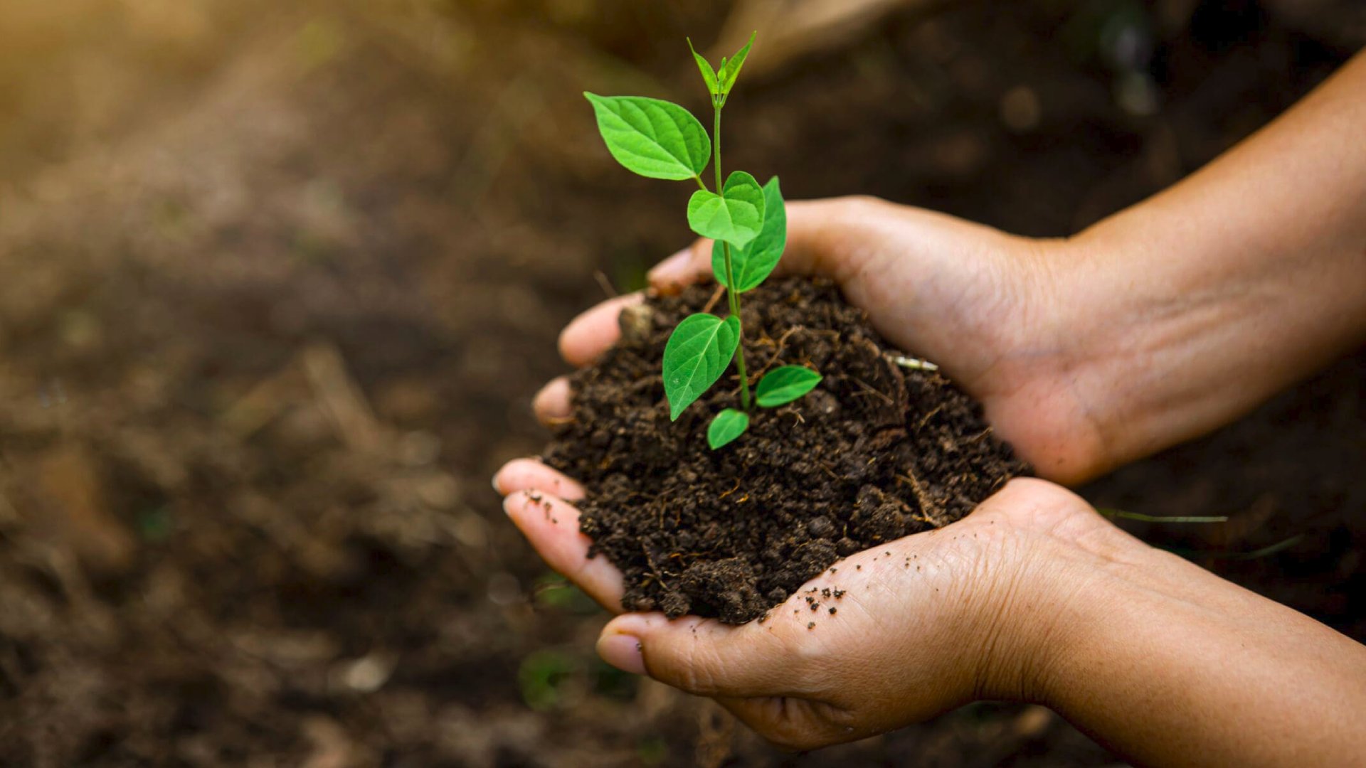 Caspian Lubricants Recycling (CLR) highlights its ecological values and commitment to sustainability, showcasing leadership in clean tech, circular economy, and responsible oil recycling practices in Azerbaijan Caspian Lubricants Recycling (CLR) демонстрирует свои экологические ценности и приверженность устойчивому развитию, подчеркивая лидерство в области чистых технологий, циркулярной экономики и ответственной переработки масел в Азербайджане. Caspian Lubricants Recycling (CLR) ekoloji dəyərlərini və davamlılığa sadiqliyini nümayiş etdirərək Azərbaycanda təmiz texnologiyalar, dövri iqtisadiyyat və məsuliyyətli yağ emalı sahəsində liderliyini vurğulayır. Caspian Lubricants Recycling, CLR, ecological values, sustainability commitment, clean tech Azerbaijan, circular economy, responsible oil recycling, green industry leadership, environmental stewardship, sustainable practices Caspian Lubricants Recycling, CLR, экологические ценности, приверженность устойчивости, экологичные технологии Азербайджан, циркулярная экономика, ответственная переработка масел, лидерство в зеленой индустрии, экологическое управление, устойчивые практики Caspian Lubricants Recycling, CLR, ekoloji dəyərlər, davamlılığa sadiqlik, təmiz texnologiyalar Azərbaycanda, dövri iqtisadiyyat, məsuliyyətli yağ emalı, yaşıl sənaye liderliyi, ekoloji idarəetmə, davamlı təcrübələr